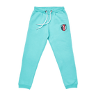Youth Teal Logo Joggers
